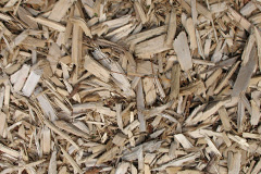 biomass boilers Gutcher