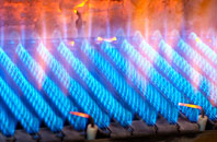 Gutcher gas fired boilers